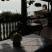 Apartmani Grloman, privatni smeštaj u mestu Sveti Stefan, Crna Gora - 42592772